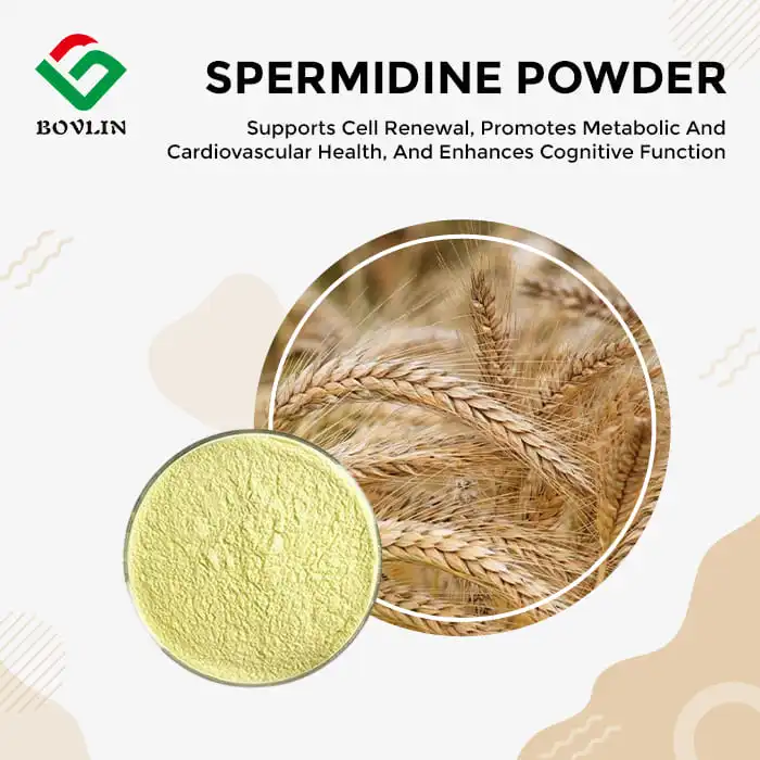 Spermidine Powder Spermidine Powder